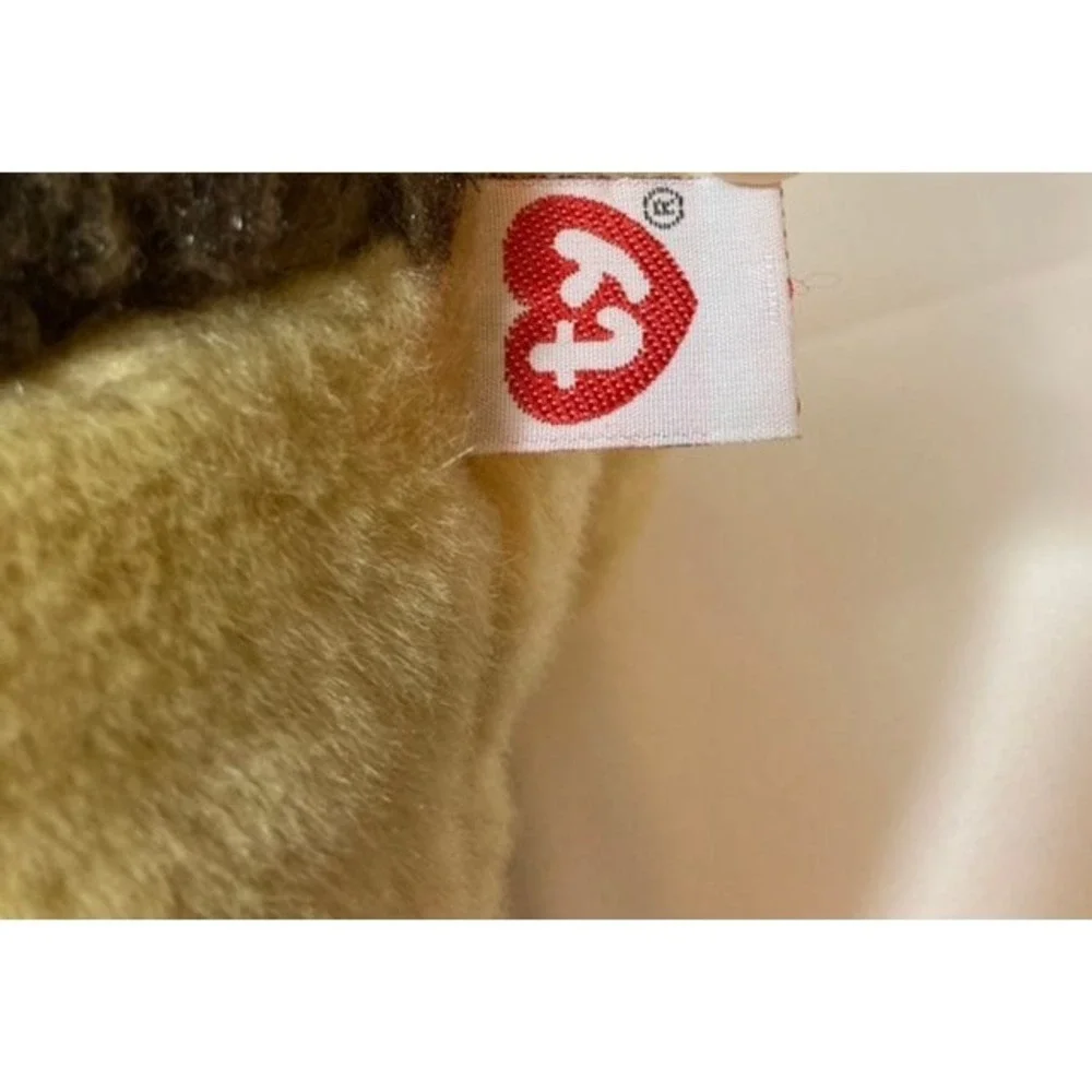 Ty‎ 11